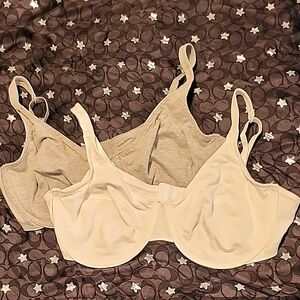Women's White and Grey Bras Set Of 2 Size 40D